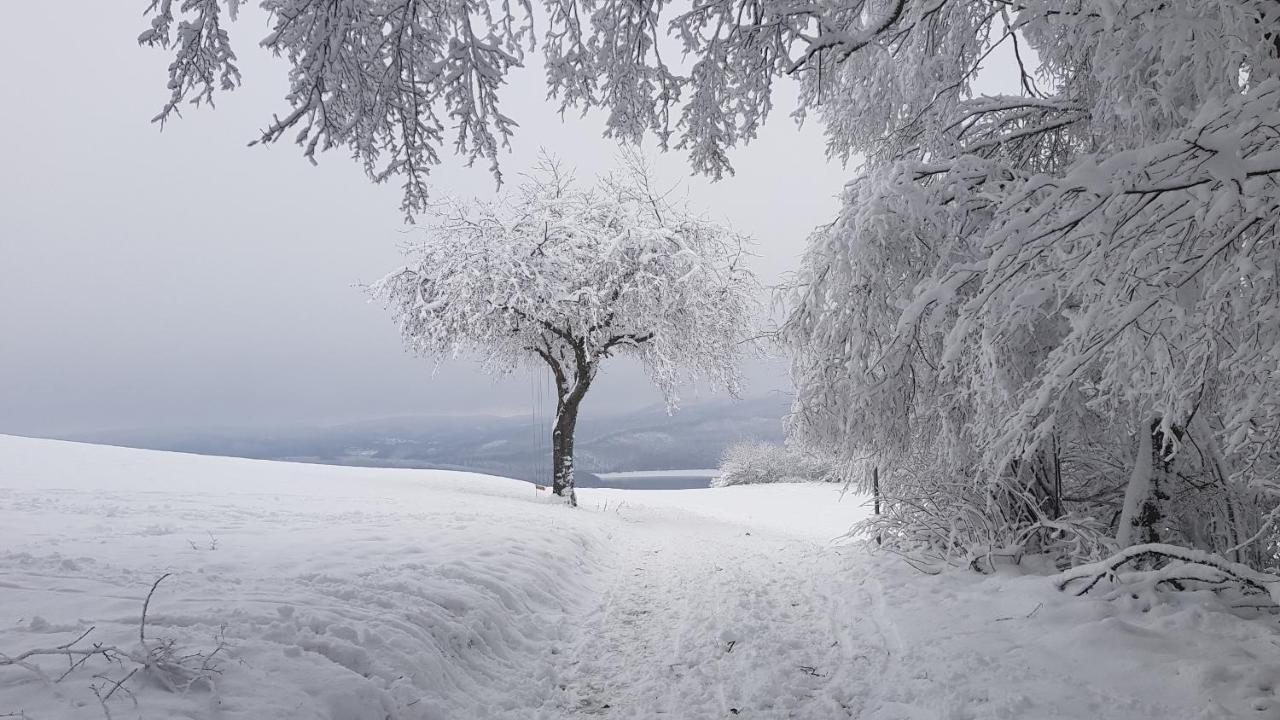 Sonnenschein Am Rursee Simmerath Dış mekan fotoğraf